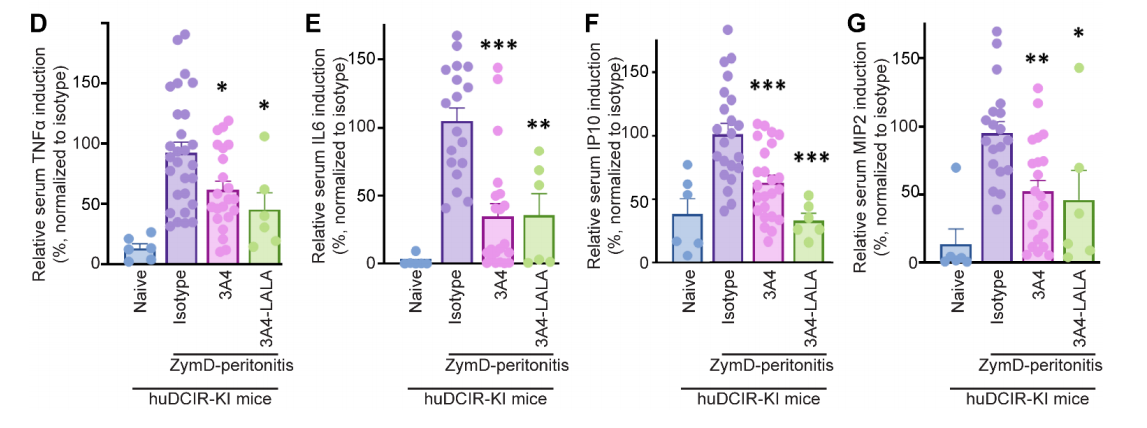 Agonistic anti-DCIR antibody inhibits ITAM-mediated inflammatory signaling and promotes immune resolution